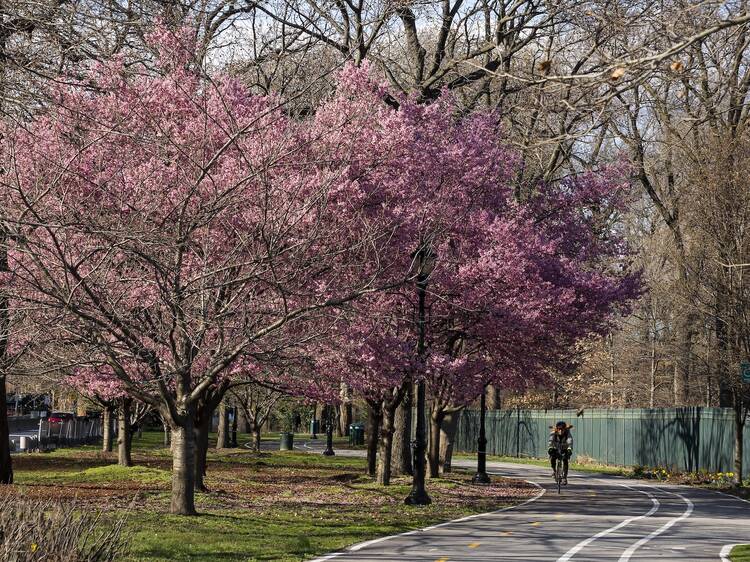 Harlem River Greenway