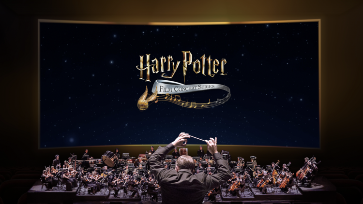 Harry Potter and the Deathly Hallows – Part 1 in Concert