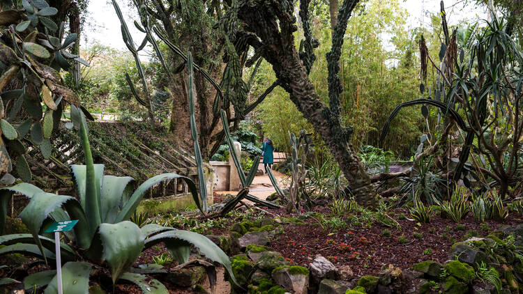 Jardim Botânico de Belém