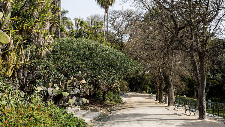 Jardim Botânico de Lisboa