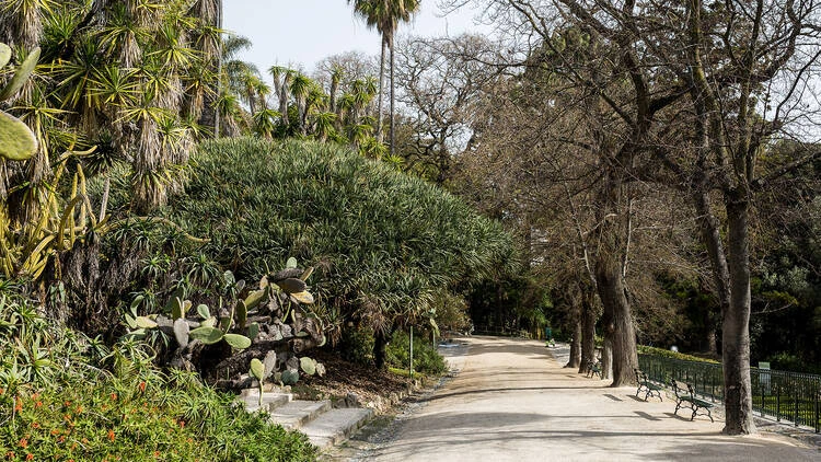 Jardim Bot&acirc;nico de Lisboa