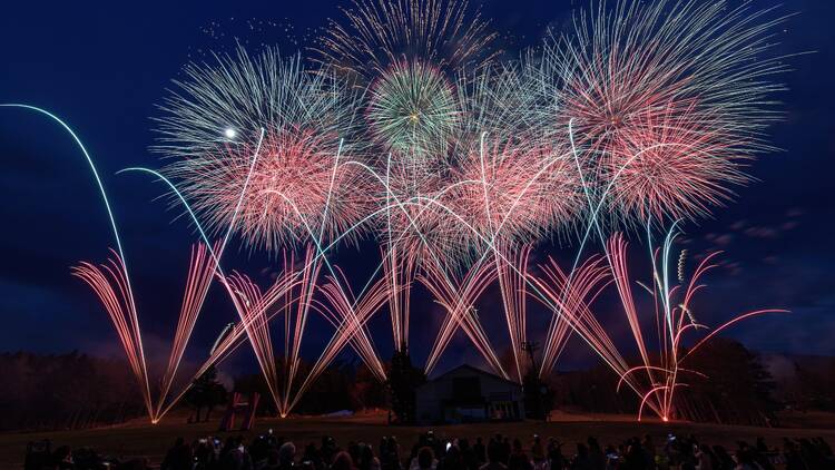 It's a rare opportunity to see three Japanese icons in one go: Mt Fuji, cherry blossoms and fireworks