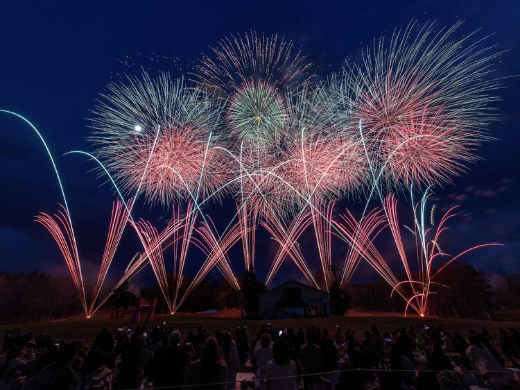 It's a rare opportunity to see three Japanese icons in one go: Mt Fuji, cherry blossoms and fireworks