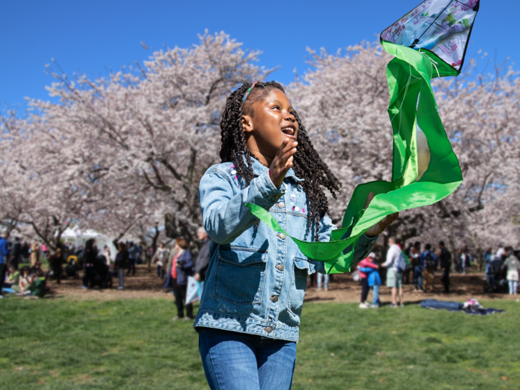 National Cherry Blossom Festival 2025 is about to start—here's when and where to see the blooms