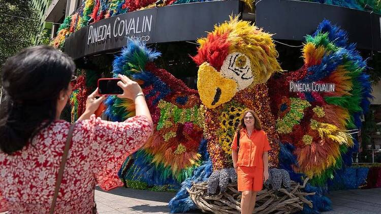Festival Flores y Jardines de Polanco 2026