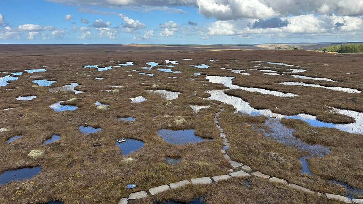 A photo of the Flow Lands in Scotland