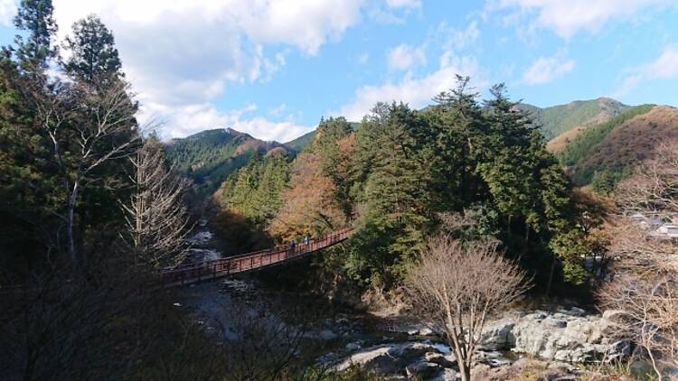 秋川渓谷 瀬音の湯