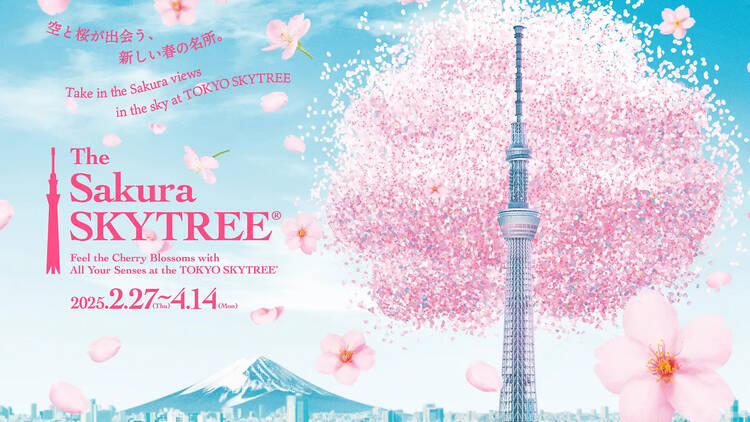 The Sakura SKYTREE® ～空と桜が出会う、新しい春の名所～