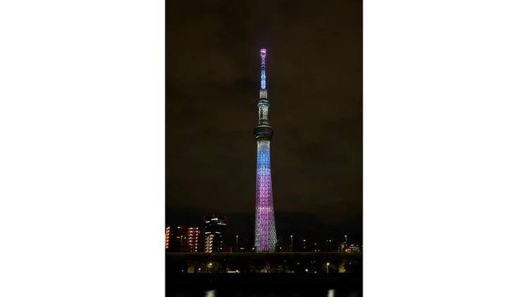 The Sakura SKYTREE® ～空と桜が出会う、新しい春の名所～