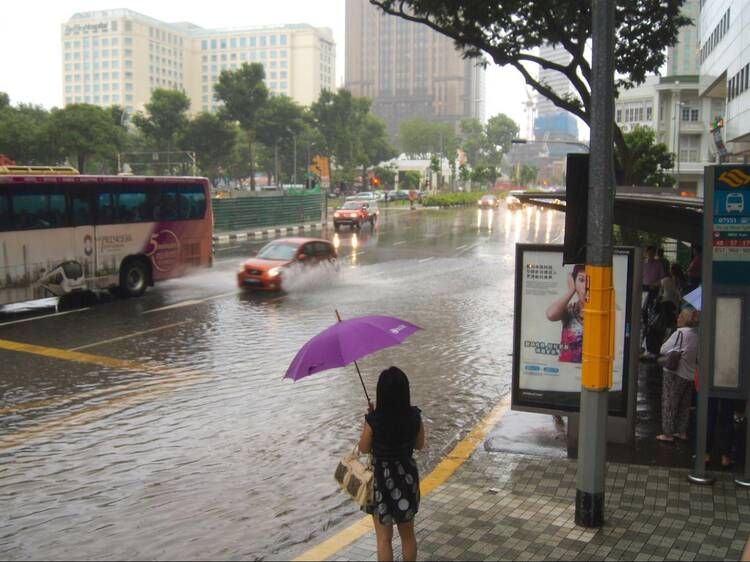 Monsoon season in Singapore: How to check for live flood updates and other survival tips