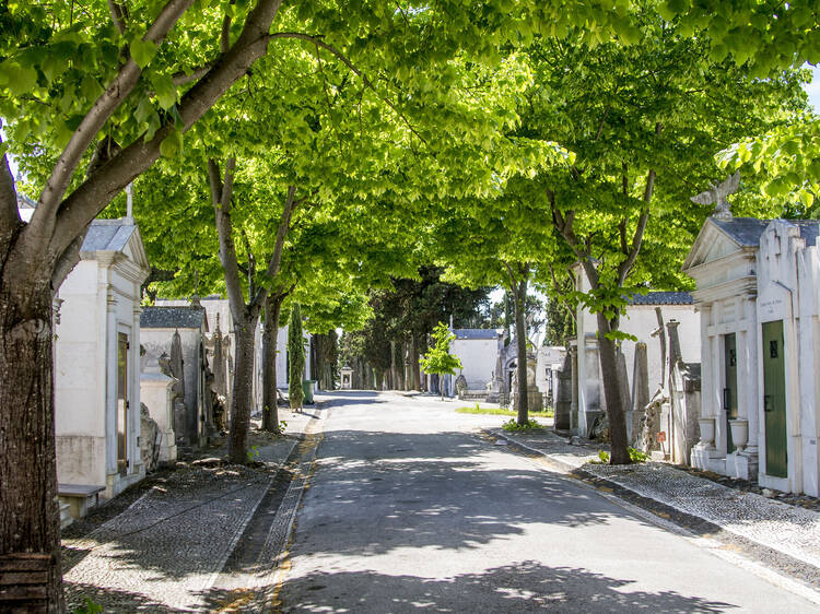 Take an alternative tour of the Prazeres Cemetery