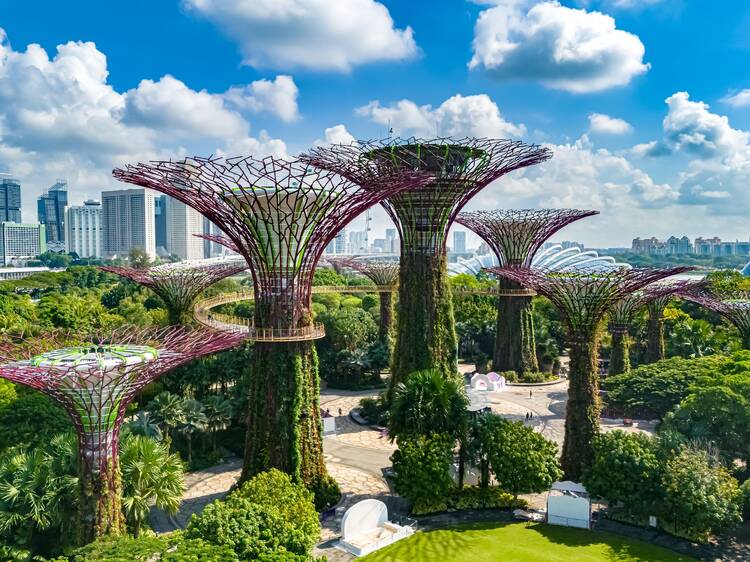 Singapore ranks fourth in a list of cities with the most green spaces in the world