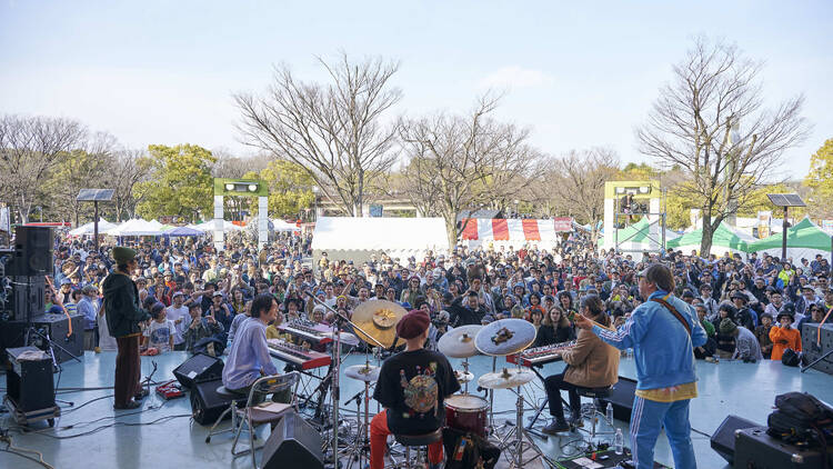 Harukaze Harukaze festival