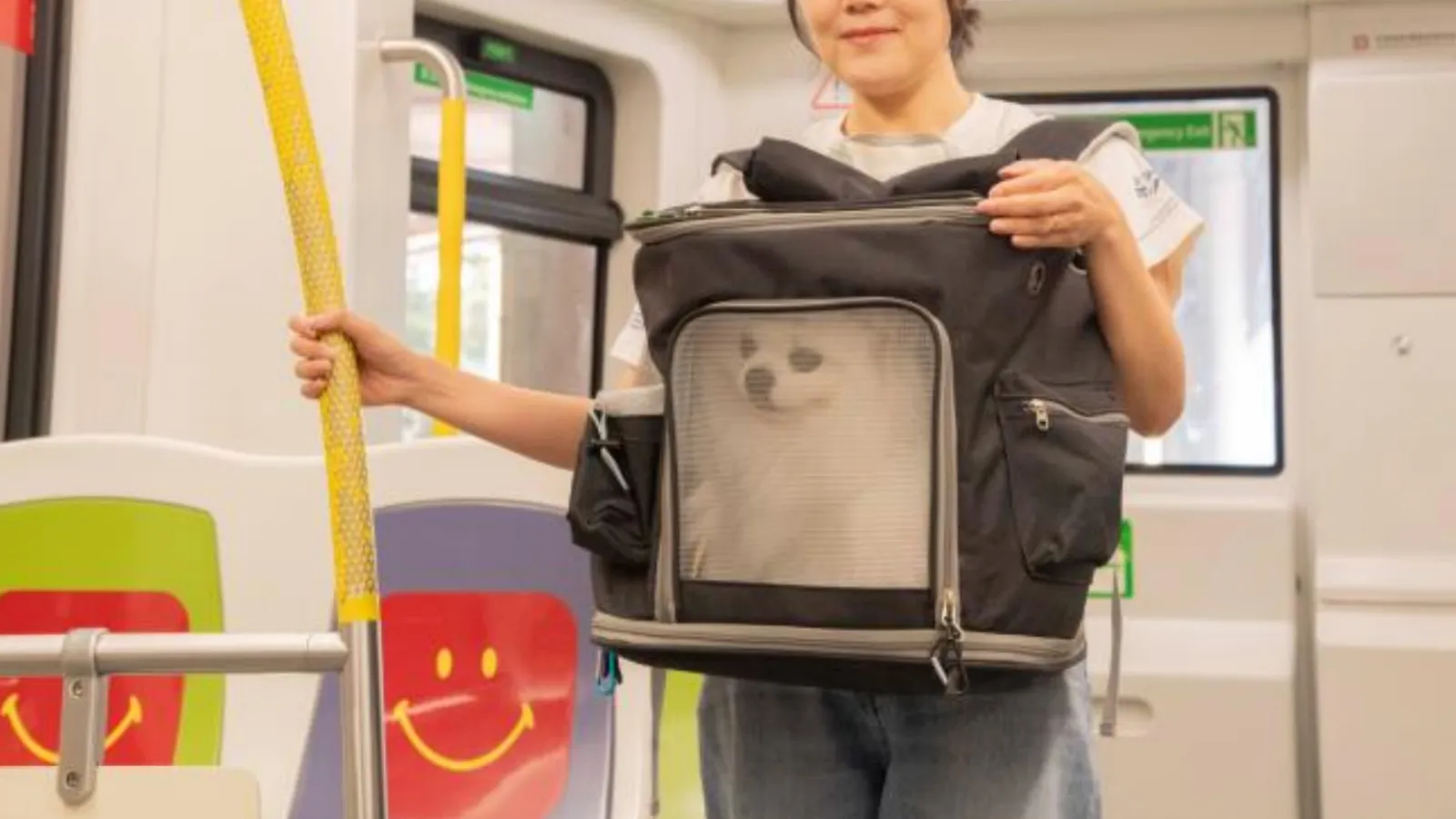 Hong Kong MTR pet friendly