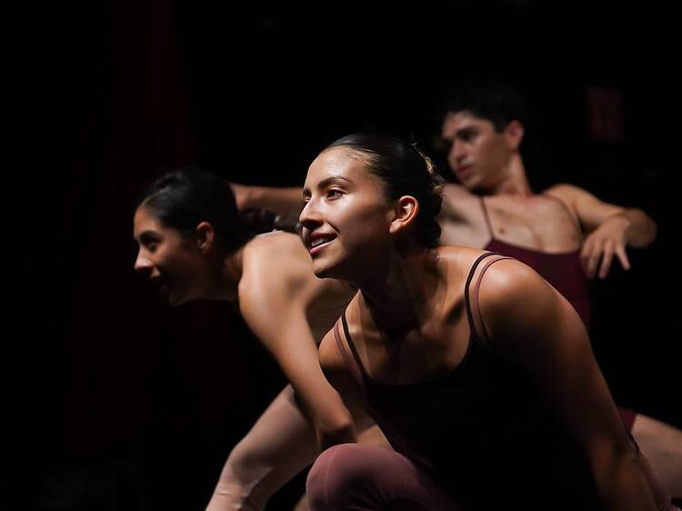 ¿Cómo sostener el peso? Danza experimental ¿Cómo sostener el peso? Danza experimental