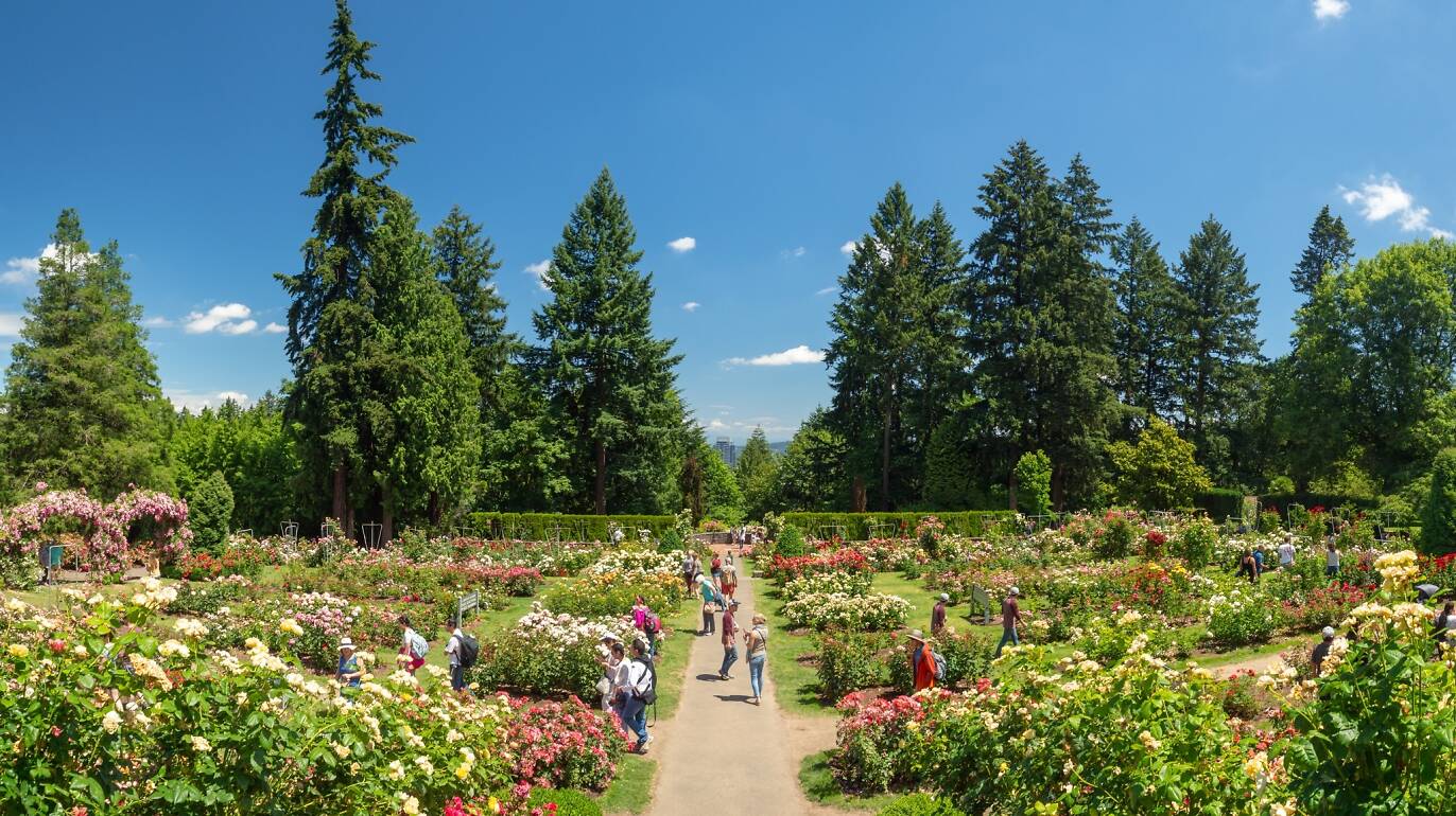 17 Best Things to Do in Portland, Oregon Right Now