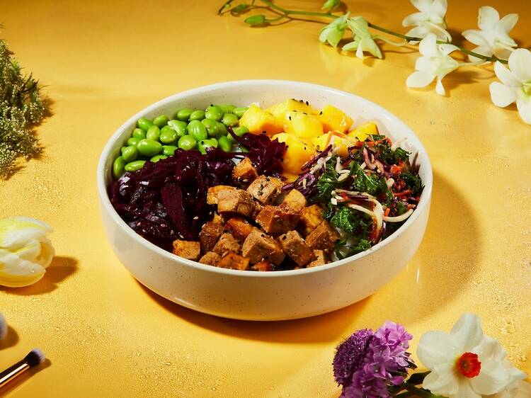 Plant-powered tofu bowl, SushiDog