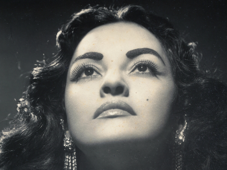 Latina: Mujer, música y glamour en la Colección Gladys Palmera