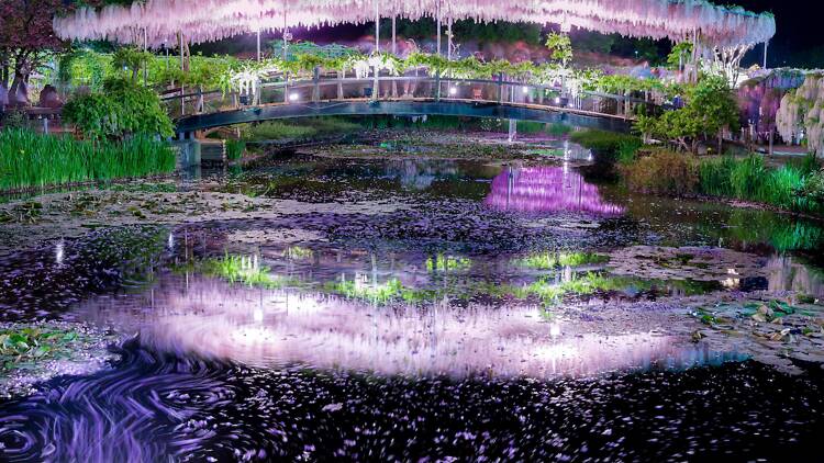 2026年、東京で最も美しい春の花々と鑑賞スポット