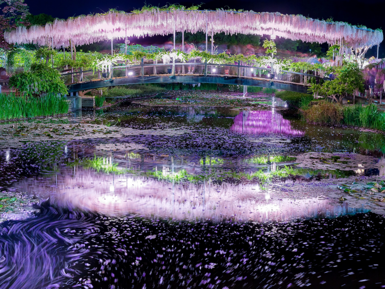 Ashikaga Flower Park