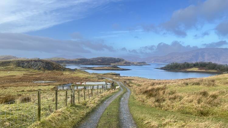 Go on a foodie road trip around the Scottish Highlands