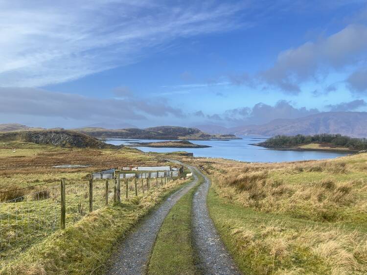 Go on a foodie road trip around the Scottish Highlands