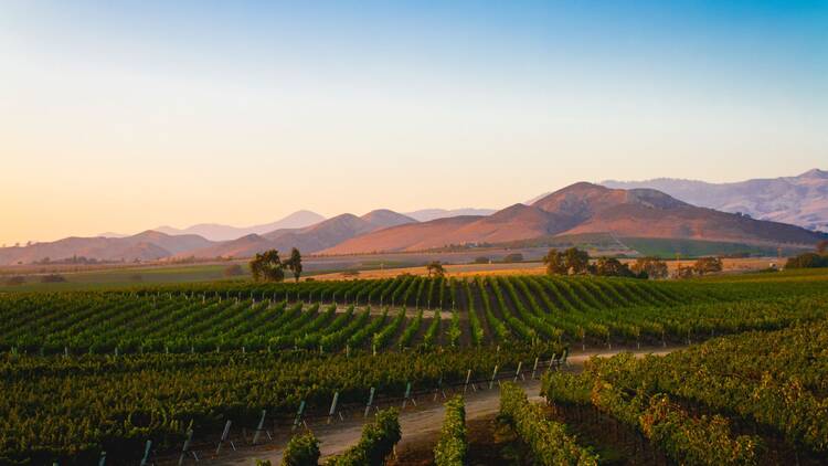 California Wine Country, USA