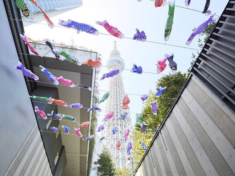 Things to do in Tokyo this week