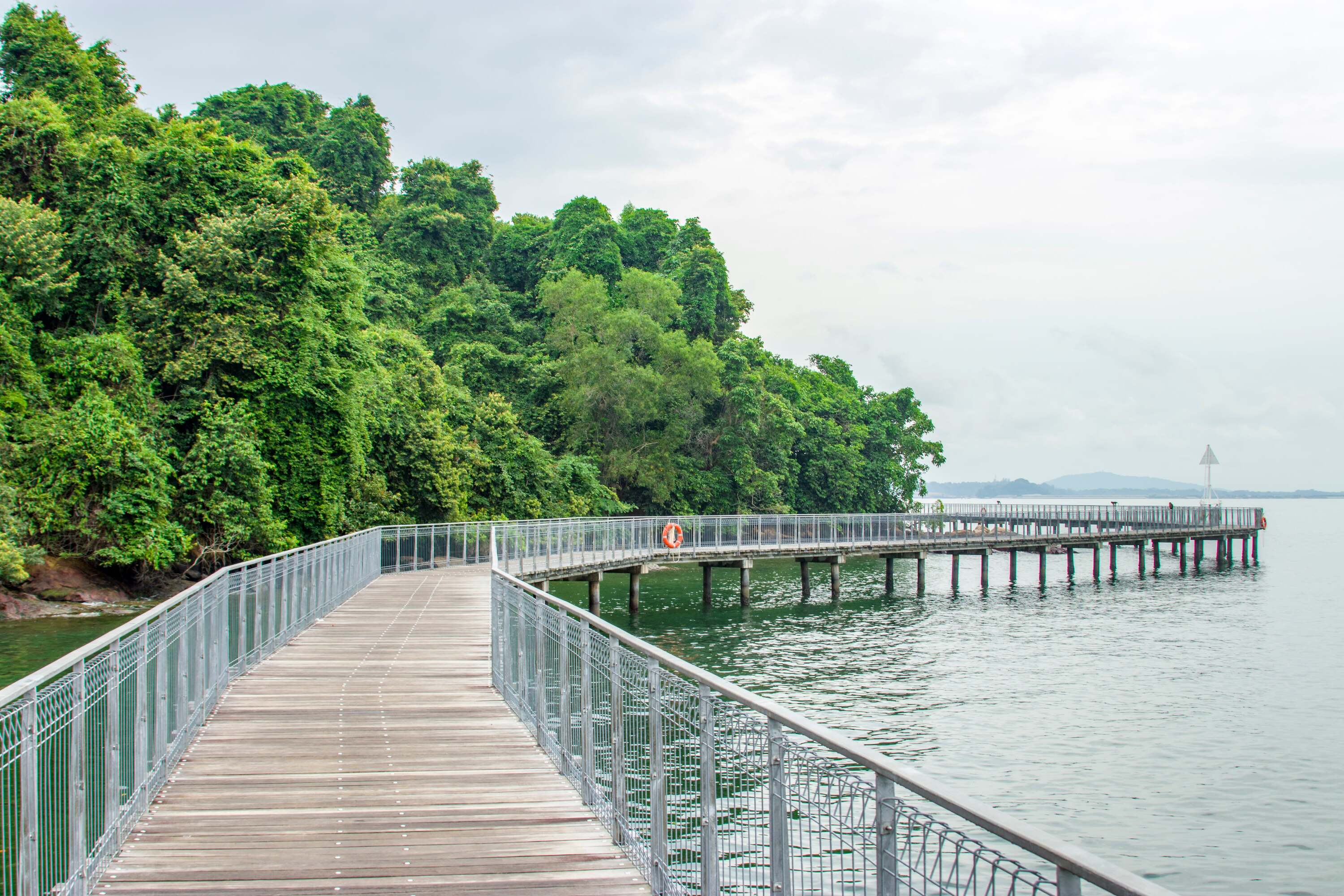 Stroll along Chek Jawa wetlands