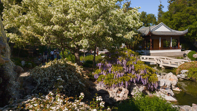 The most beautiful botanical gardens in L.A.