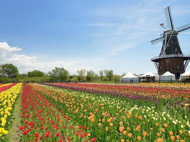 The best day trips from Chicago for an exciting adventure The best day trips from Chicago for an exciting adventure