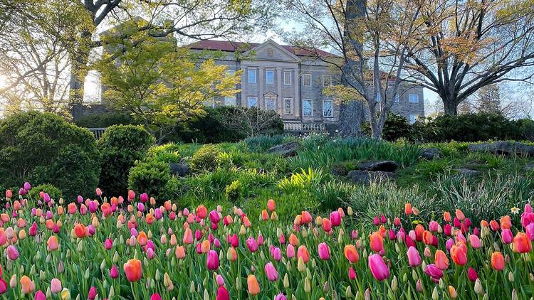 Cheekwood Estate & Gardens