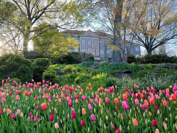 Cheekwood Estate & Gardens