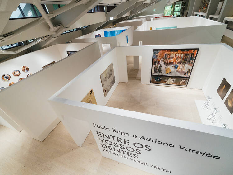 Paula Rego e Adriana Varejão. Entre os vossos dentes
