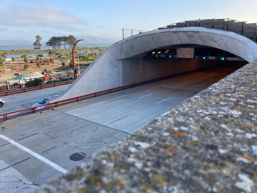 Tunnel Tops