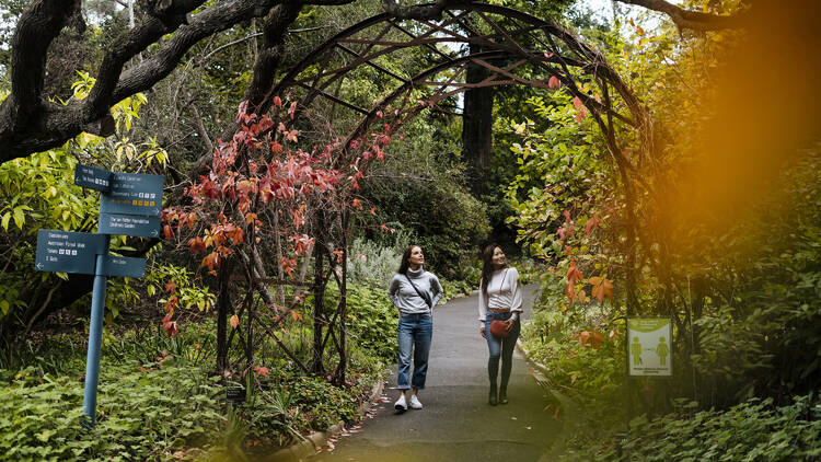 Royal Botanic Gardens Victoria