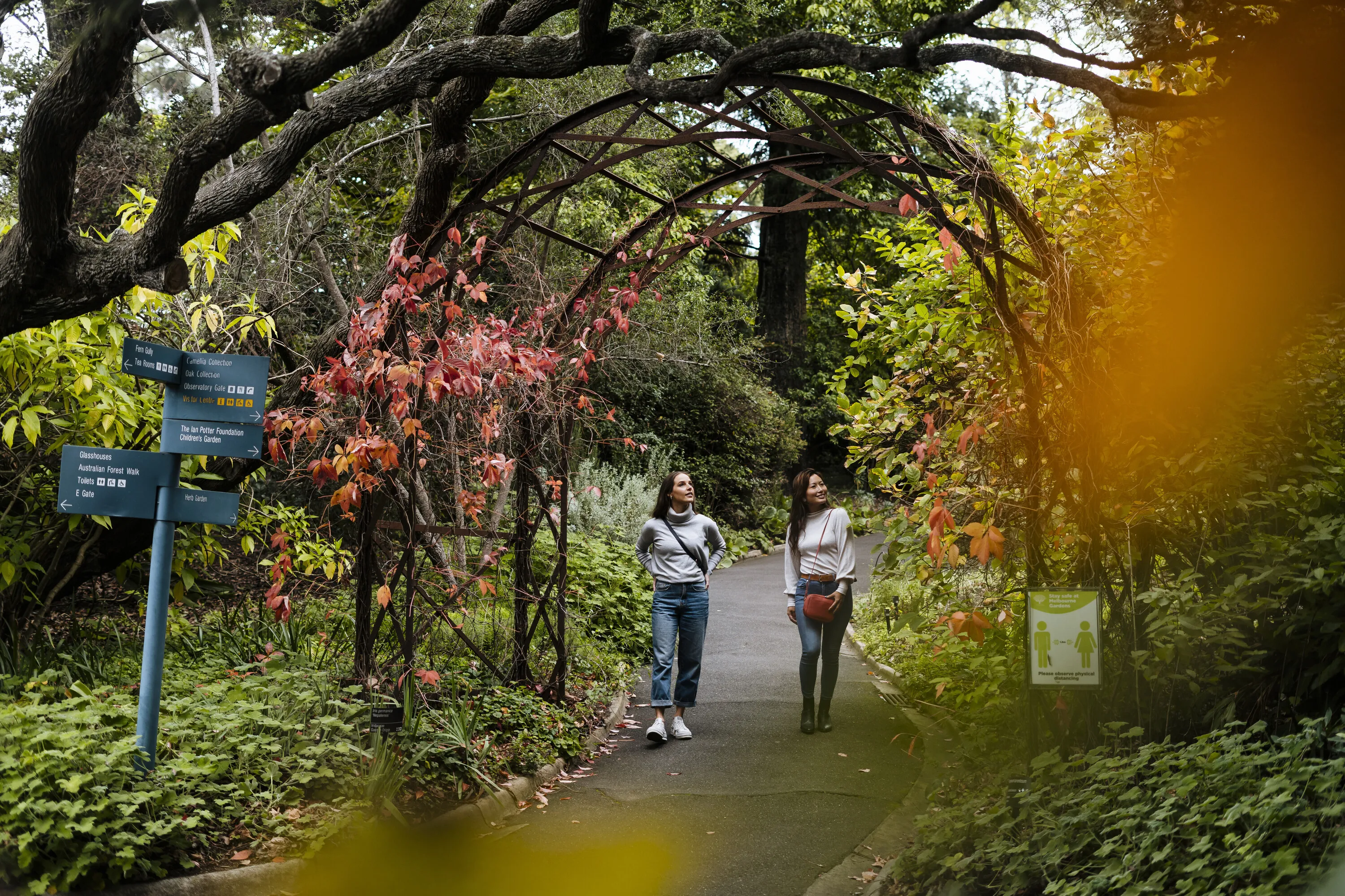 Two people walk through the Royal Botanic Gardens.