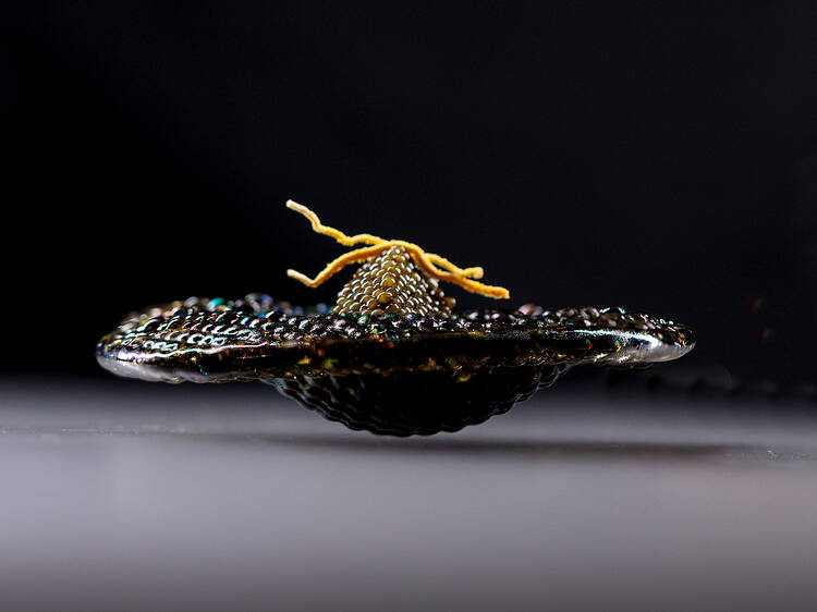 This perennial Chicago favorite was just crowned the best restaurant in the U.S. in the 21st century