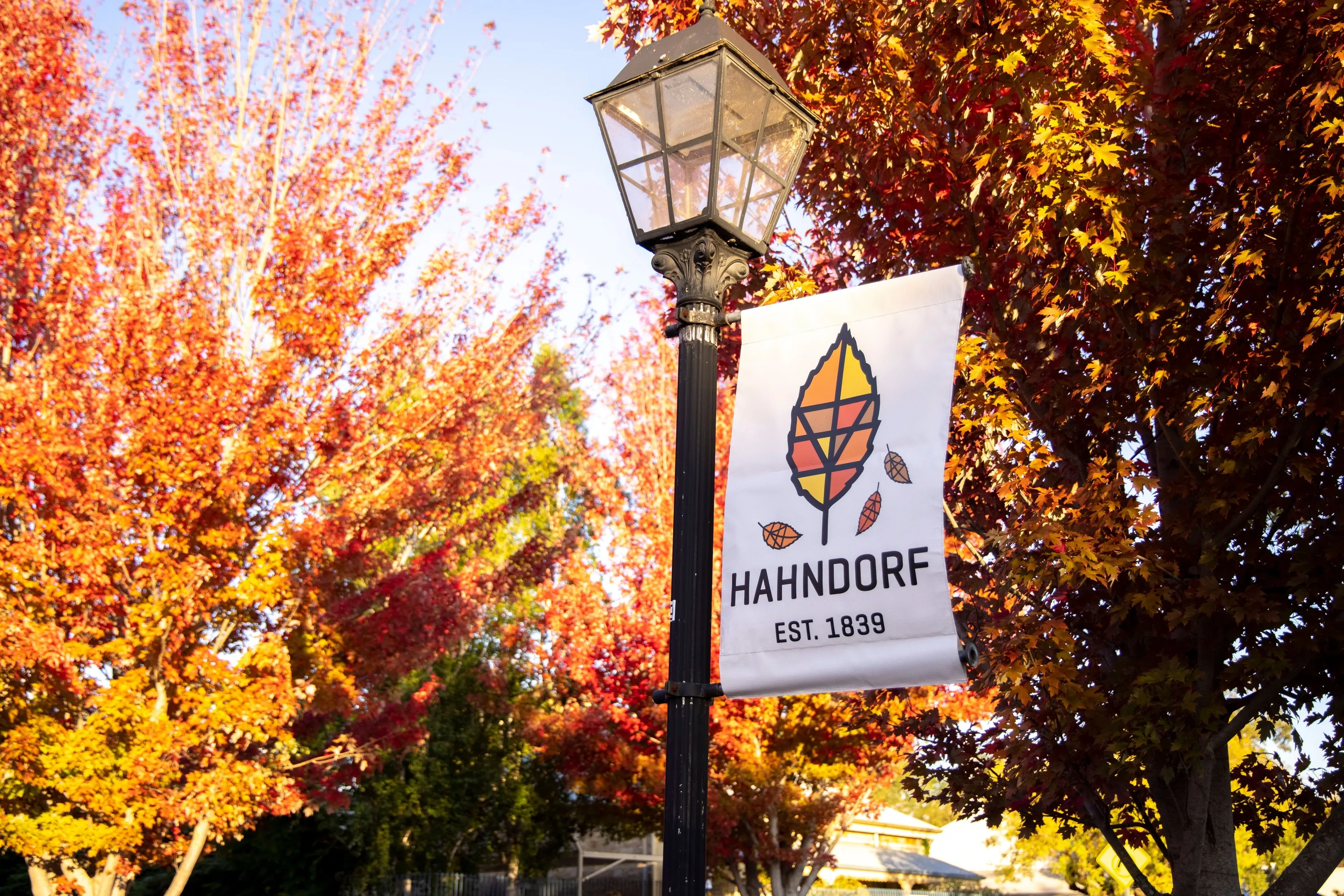 Hahndorf street with red foliage