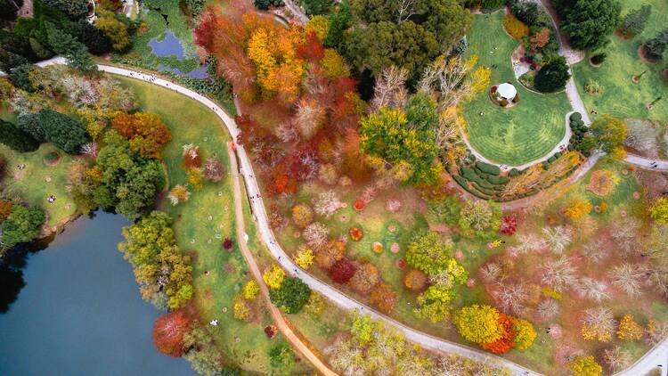 Adelaide Hills