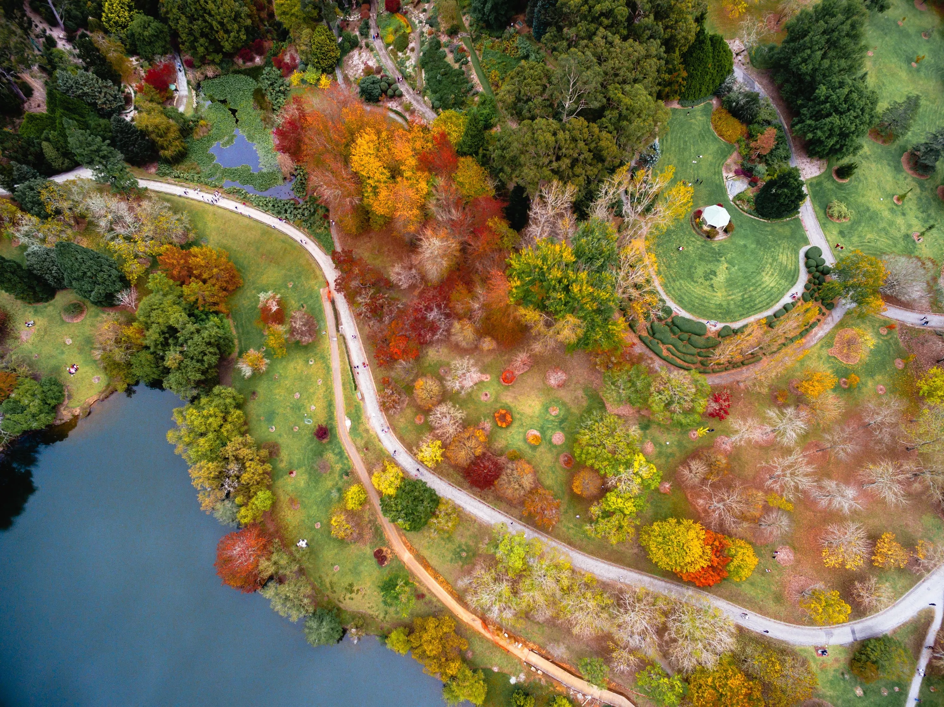 Aerial view of botanic garden in autumn