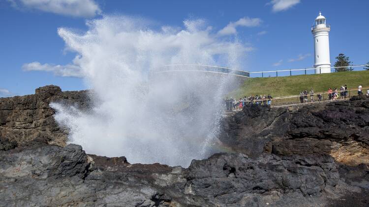 Big4 Easts Beach Holiday Park Big4 Easts Beach Holiday Park