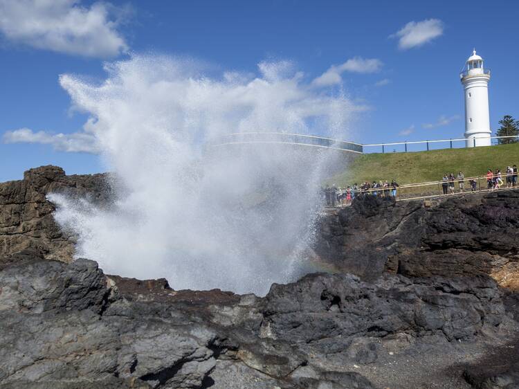 Big4 Easts Beach Holiday Park Big4 Easts Beach Holiday Park