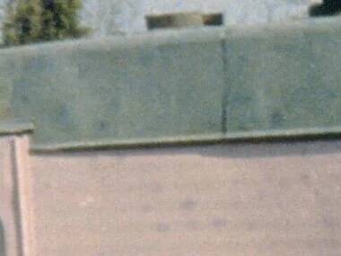 カルト映画の名作15選 カルト映画の名作15選