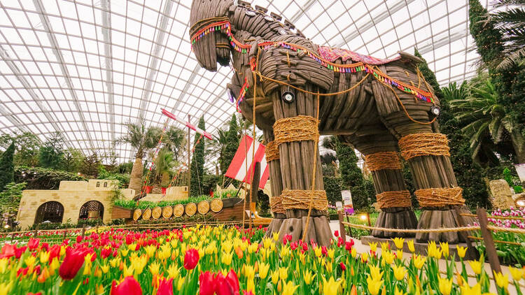 Tulipmania