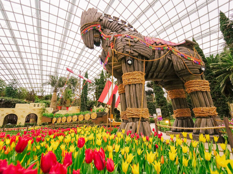 Tulipmania