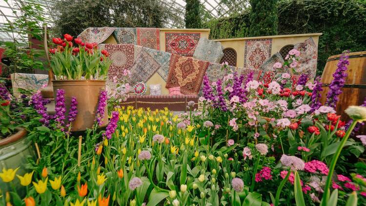 Take a stroll through rows of beautiful blooms