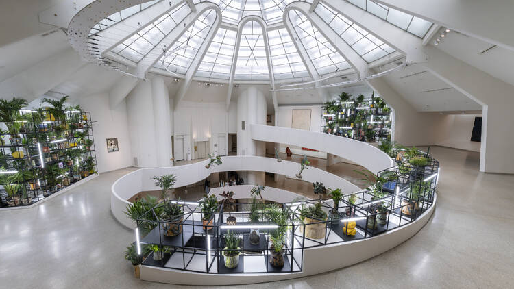 Solomon R. Guggenheim Museum