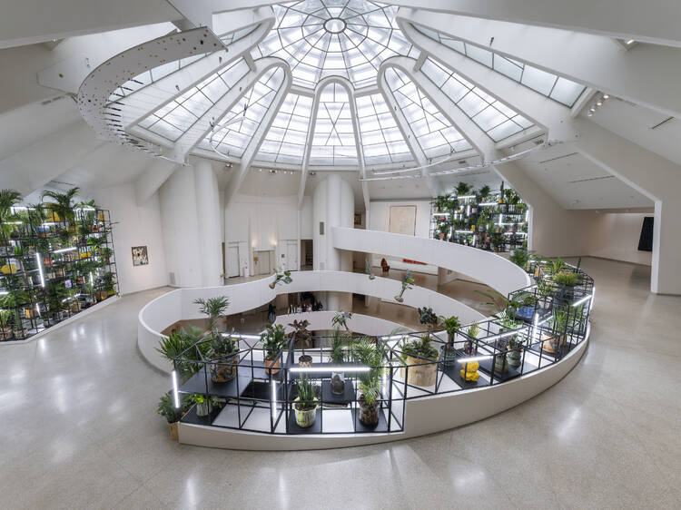 Solomon R. Guggenheim Museum
