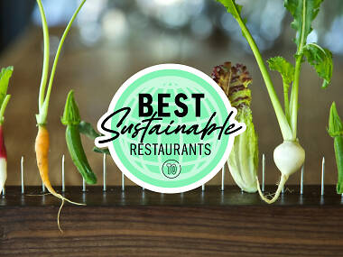 The best sustainable restaurants in New York City The best sustainable restaurants in New York City